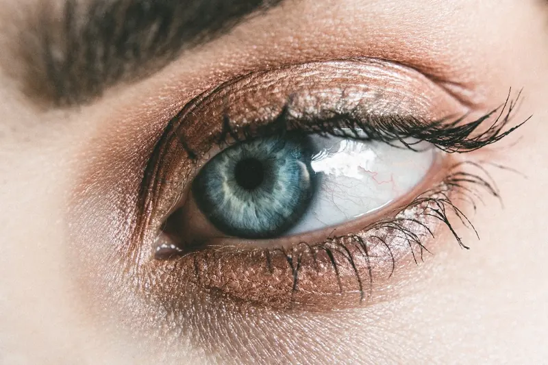Close-up of an eye with long natural lashes